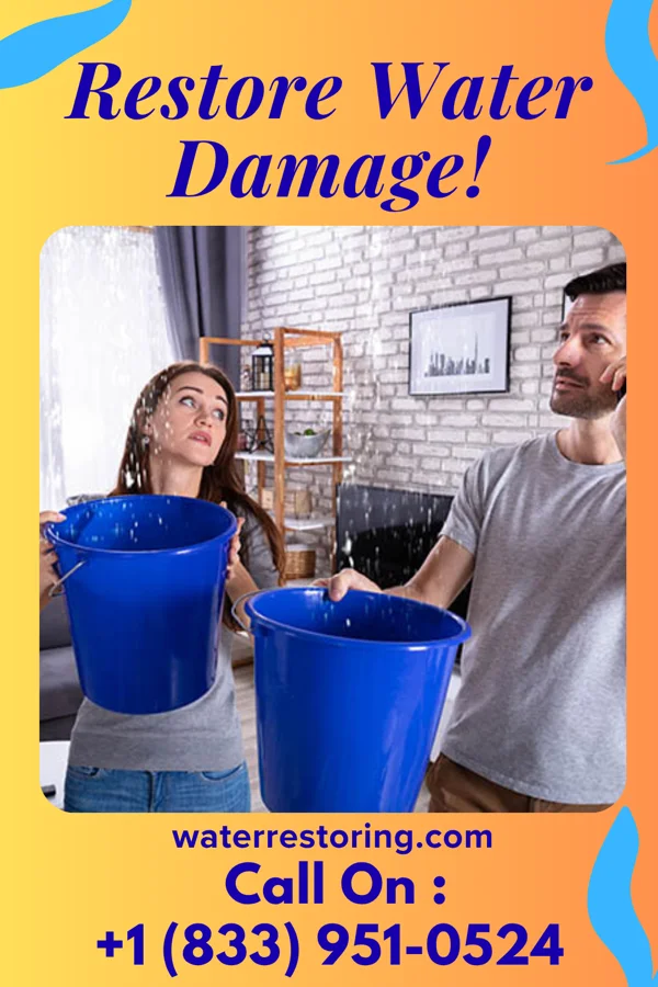 water restoration Allied Cleanup Force Elwood